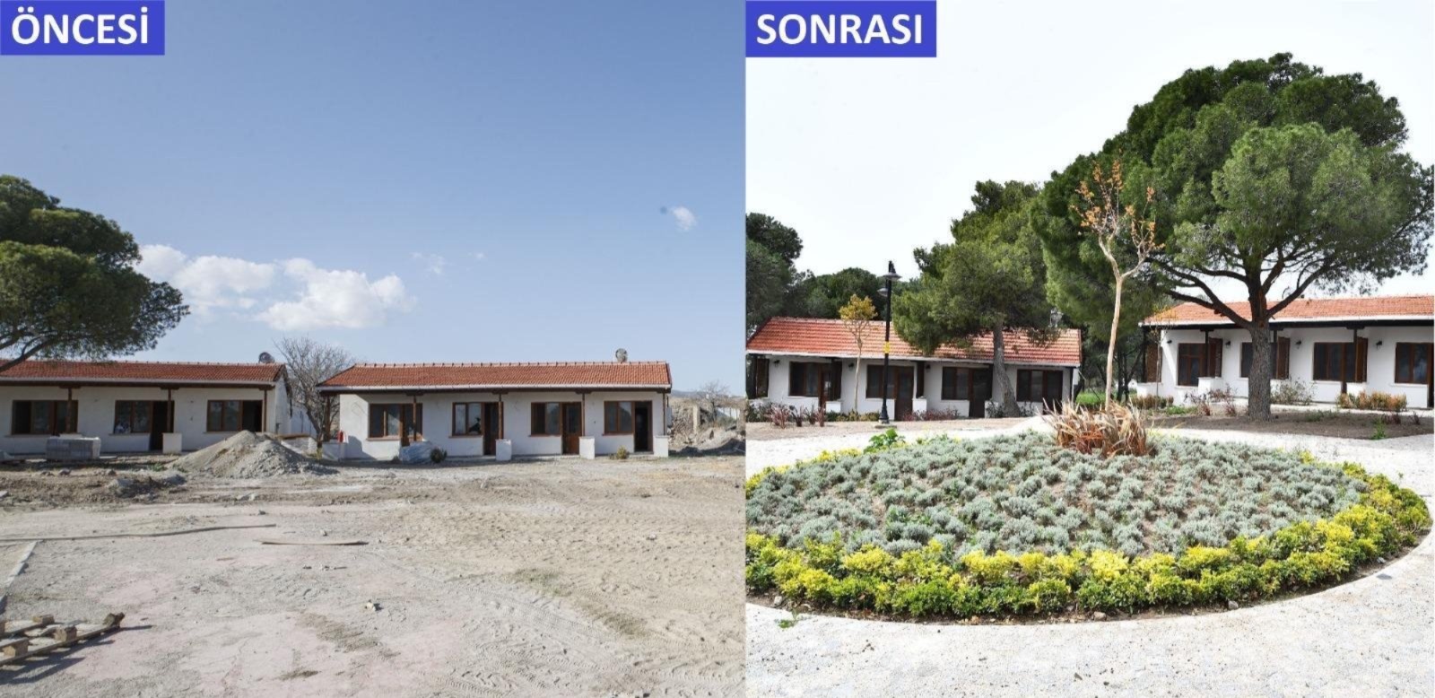 Yangın yaraları sarılırken, yeni nefes alanları kazanılıyor