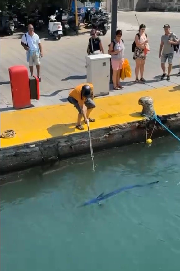 Yetkililerden hızlı müdahale ve açıklama