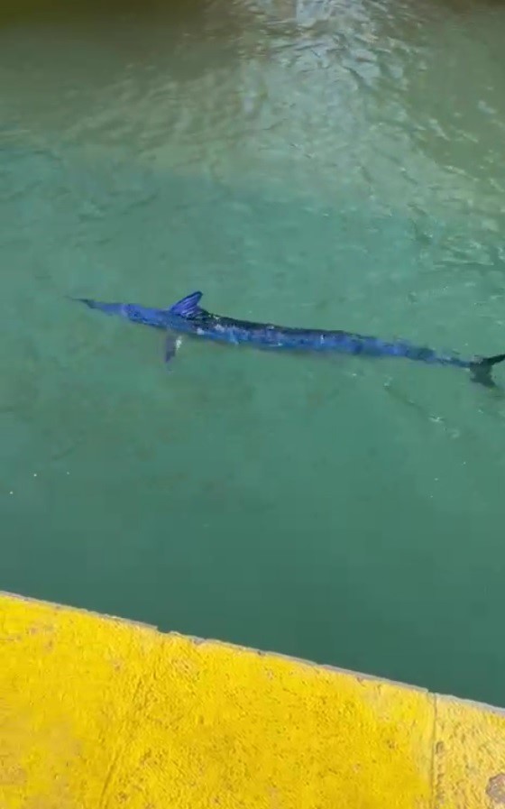 Yetkililerden hızlı müdahale ve açıklama