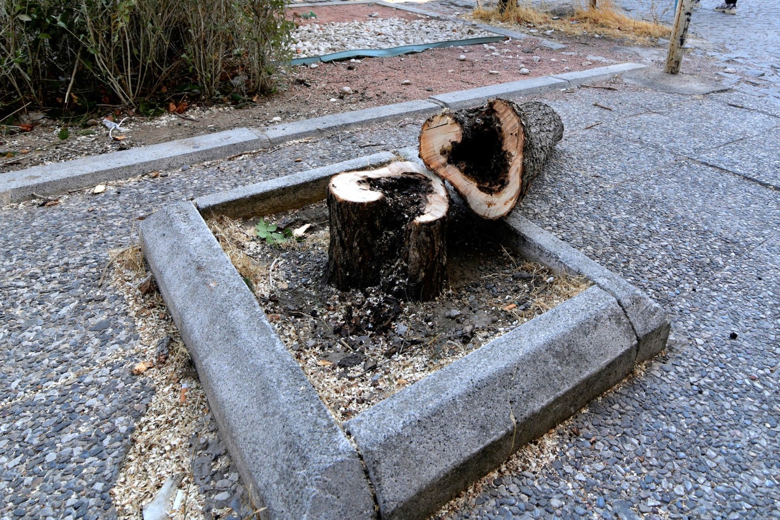 Başkan Eşki çalışmaları yerinde inceledi