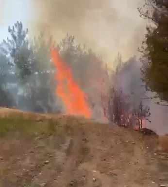 Buldan’daki Orman Yangınına Havadan Müdahale Başladı 1