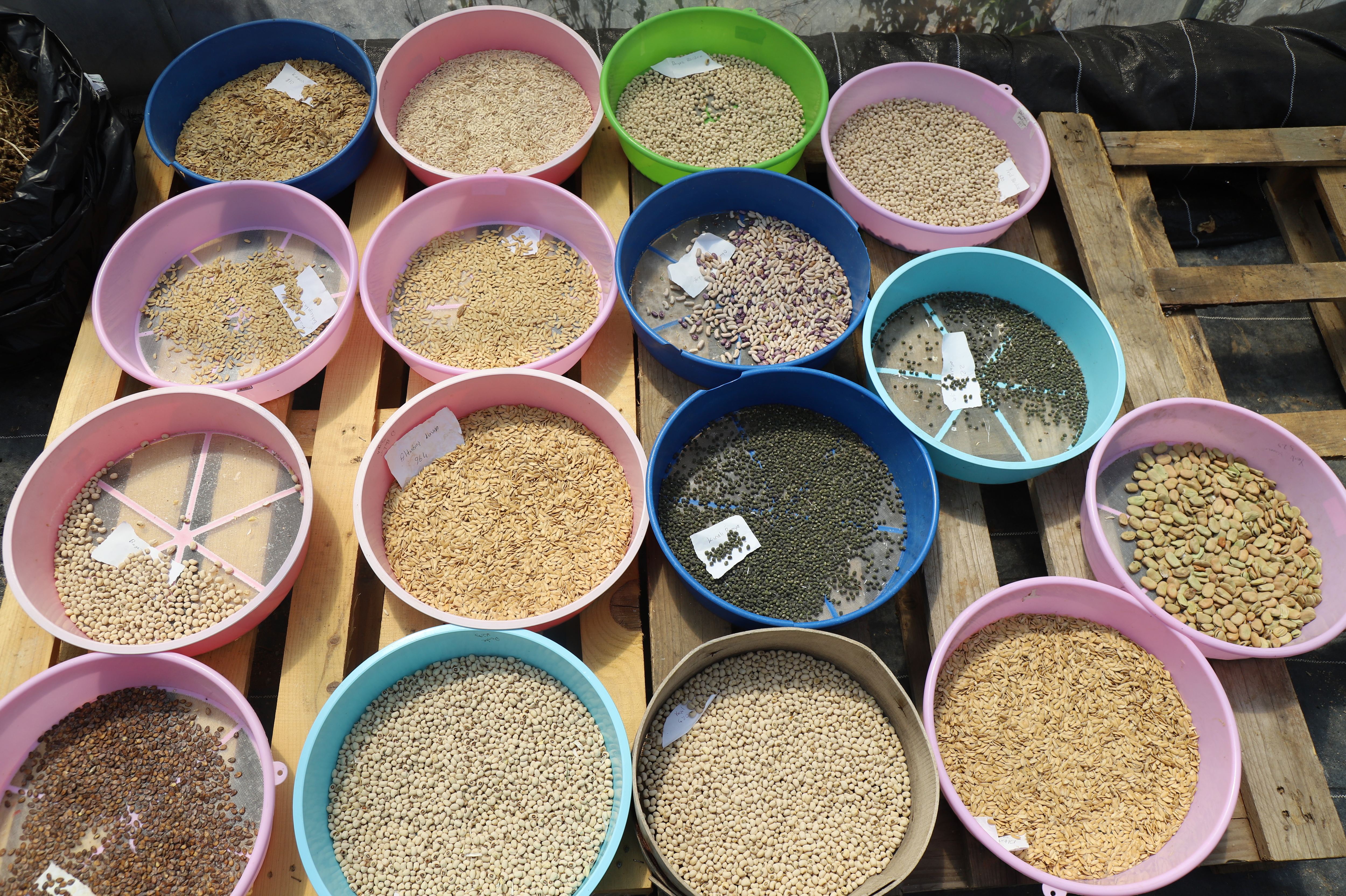 Büyükşehir 2026 Yılında 4 Milyon