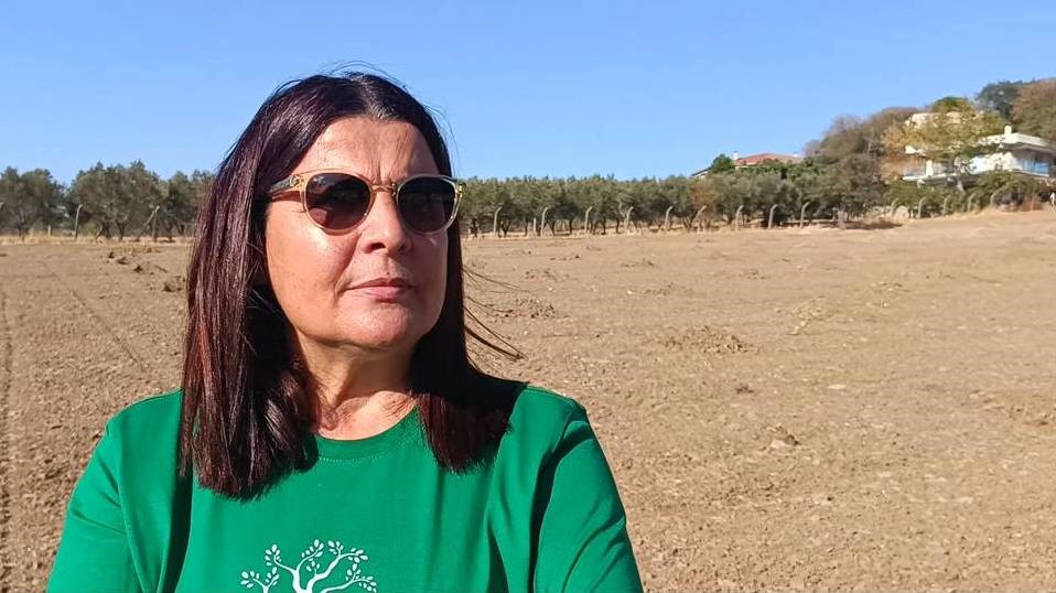 Başkan Fıçı'dan gelen tepkilere yanıt