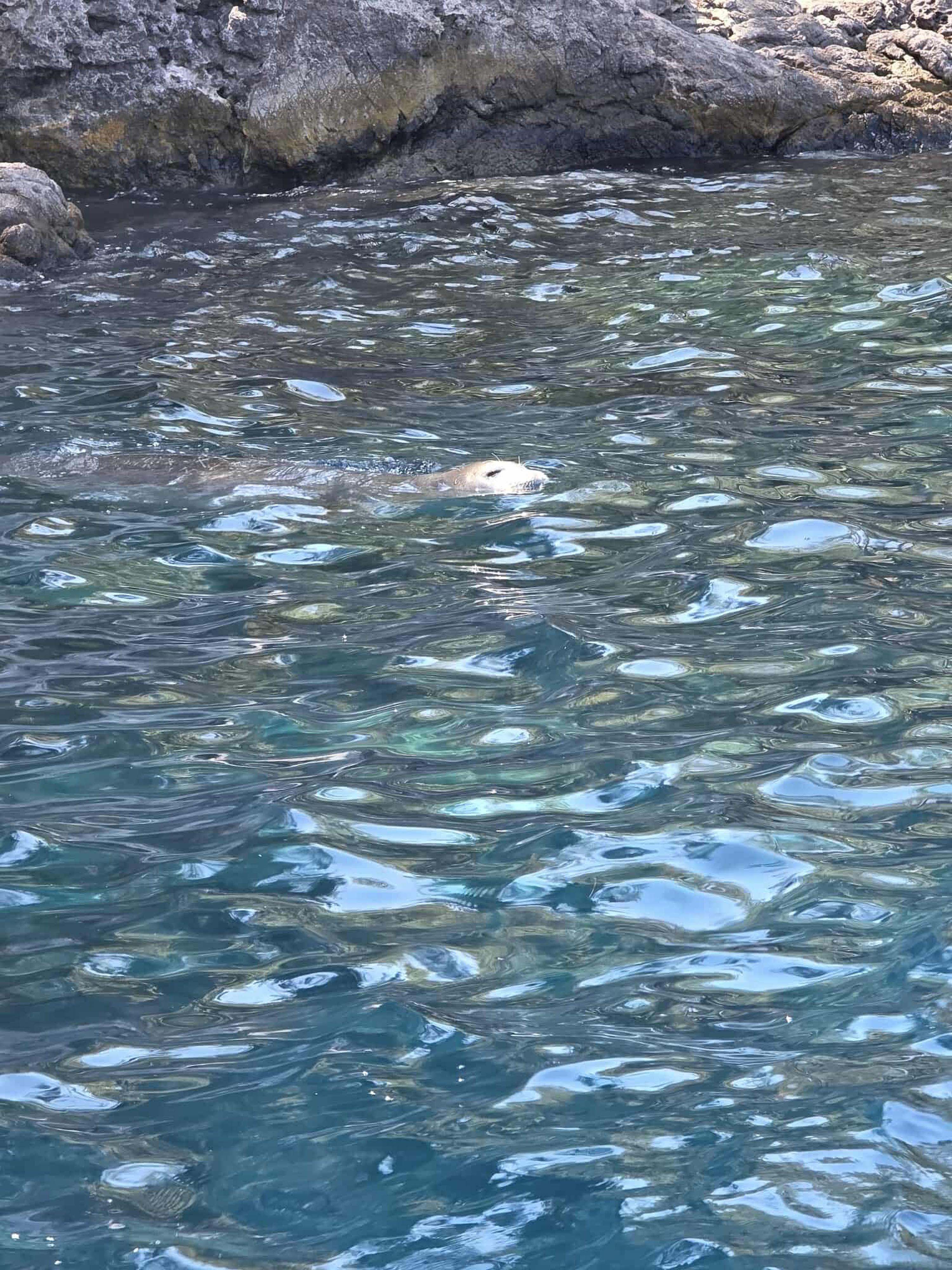 F E T H I Y E D E N E S L I T U K E N M E T E H L I K E S I N D E K I 895803 266102