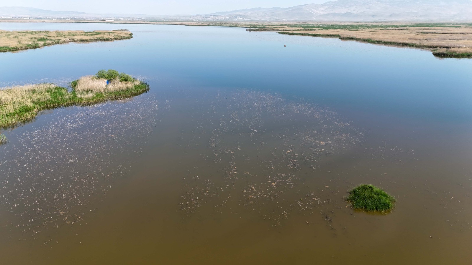 Kasıtlı yangın şüphesi