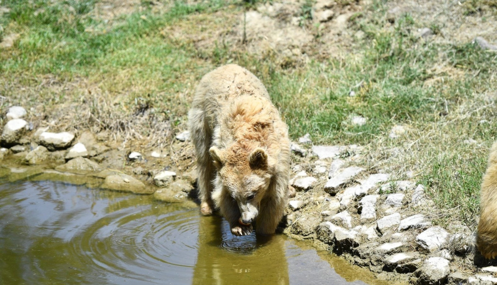 Ziyaret saatleri yeniden düzenleniyor