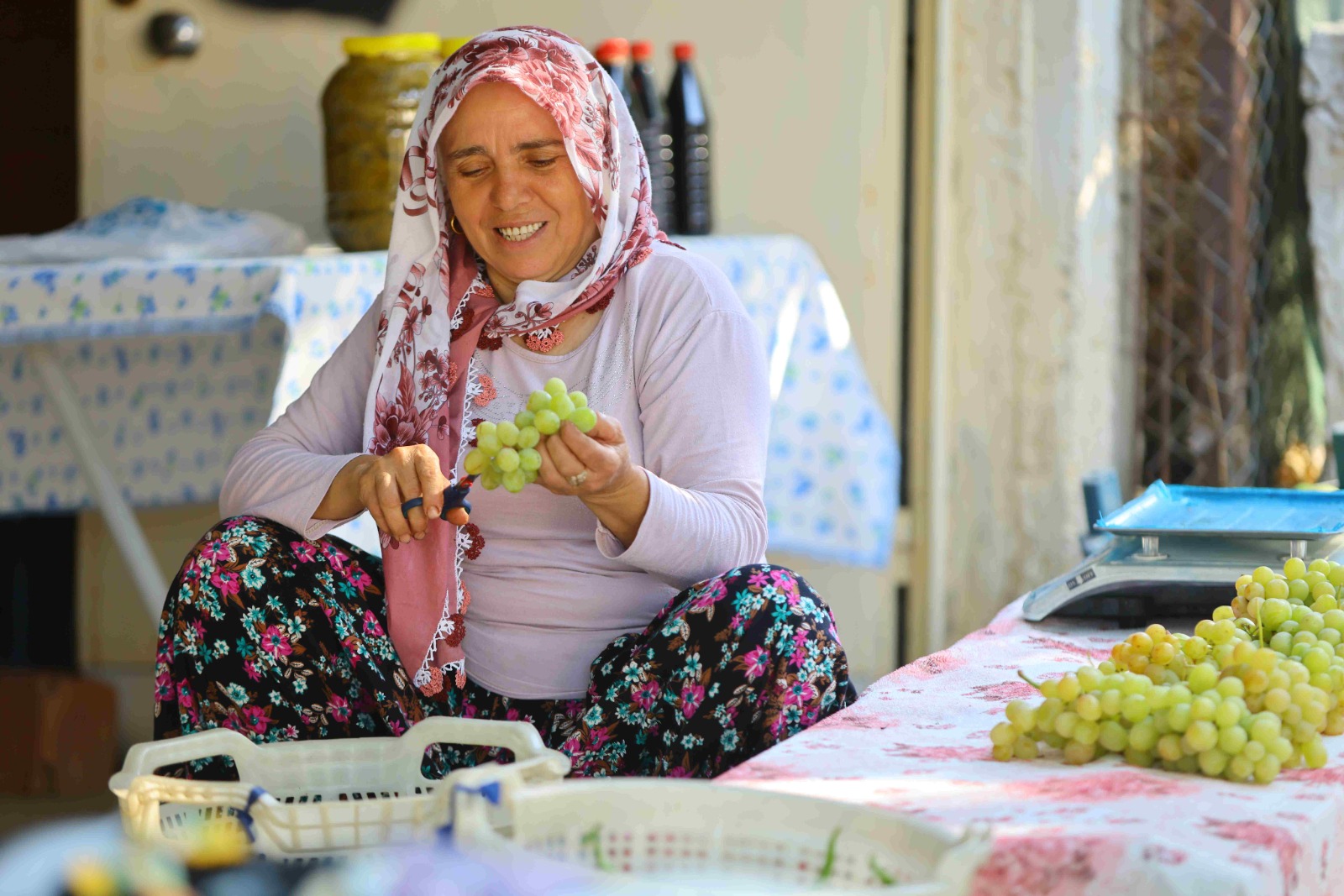 Üzüm yarışması sonuçlandı, ödüller sahiplerini buldu