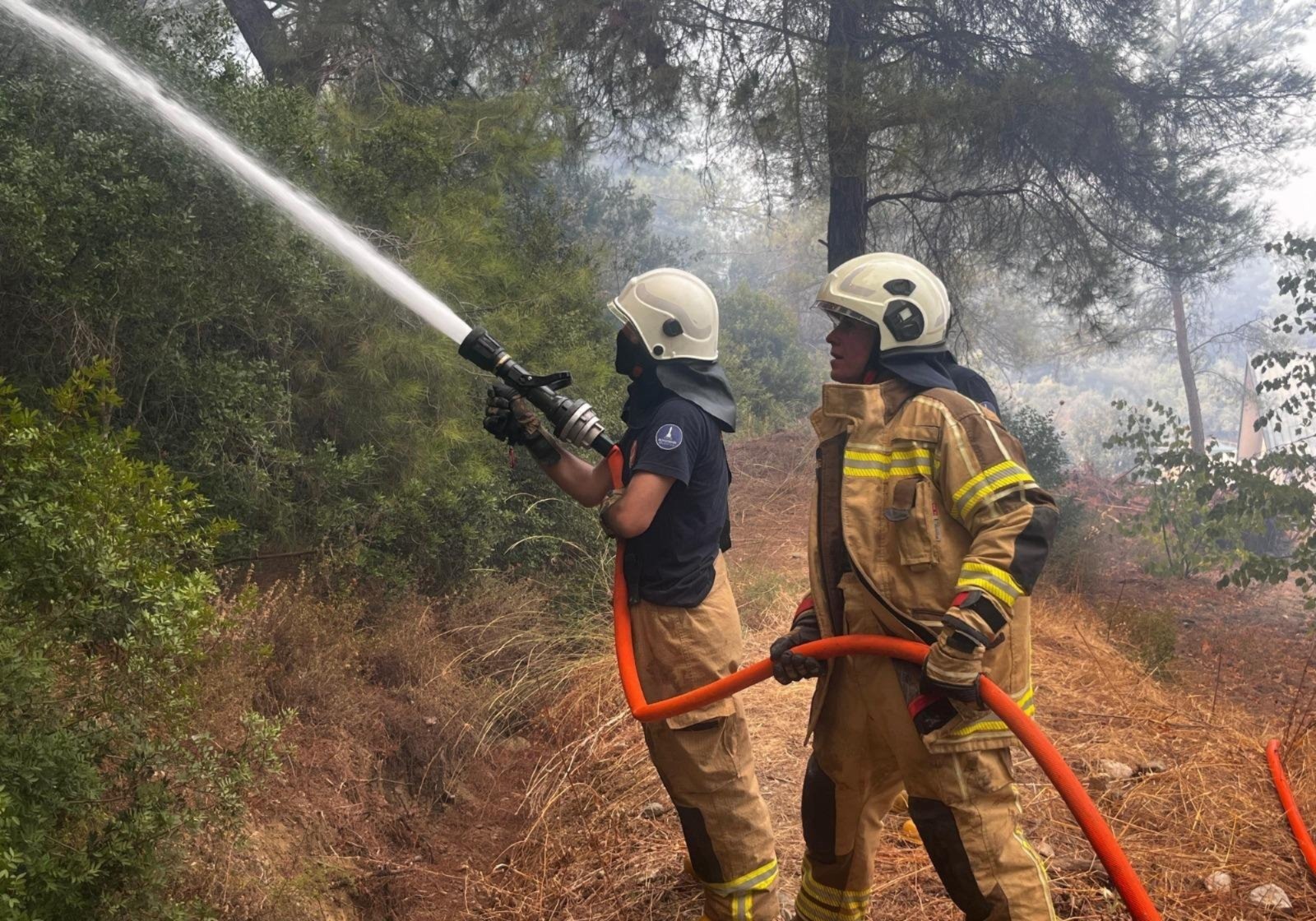 Veriler endişe verici!