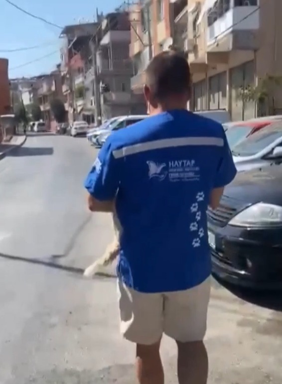 Hayvanlar güvende, Gelecekleri için rehabilitasyon başlıyor