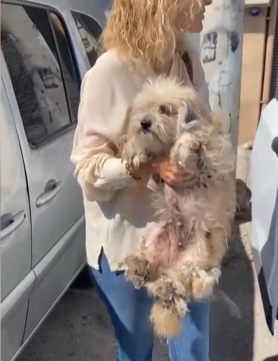 Ekipler harekete geçti: 20 can kurtarıldı