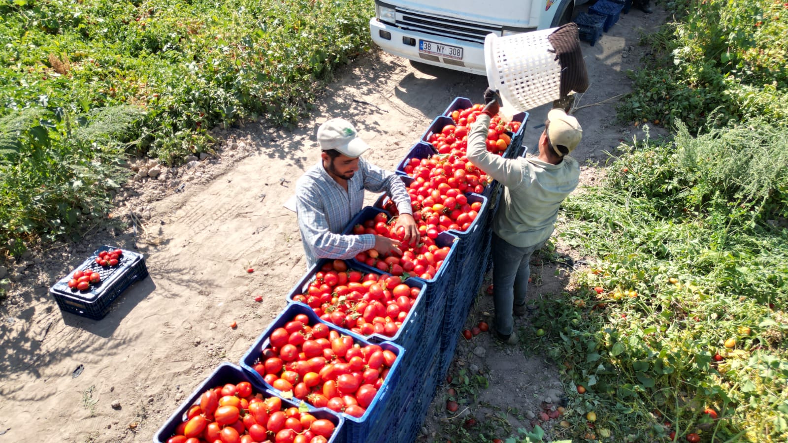 K A Y S E R I’ D E S A L C A L I K D O M A T E S H A S A D I B A S L A 893537 265383