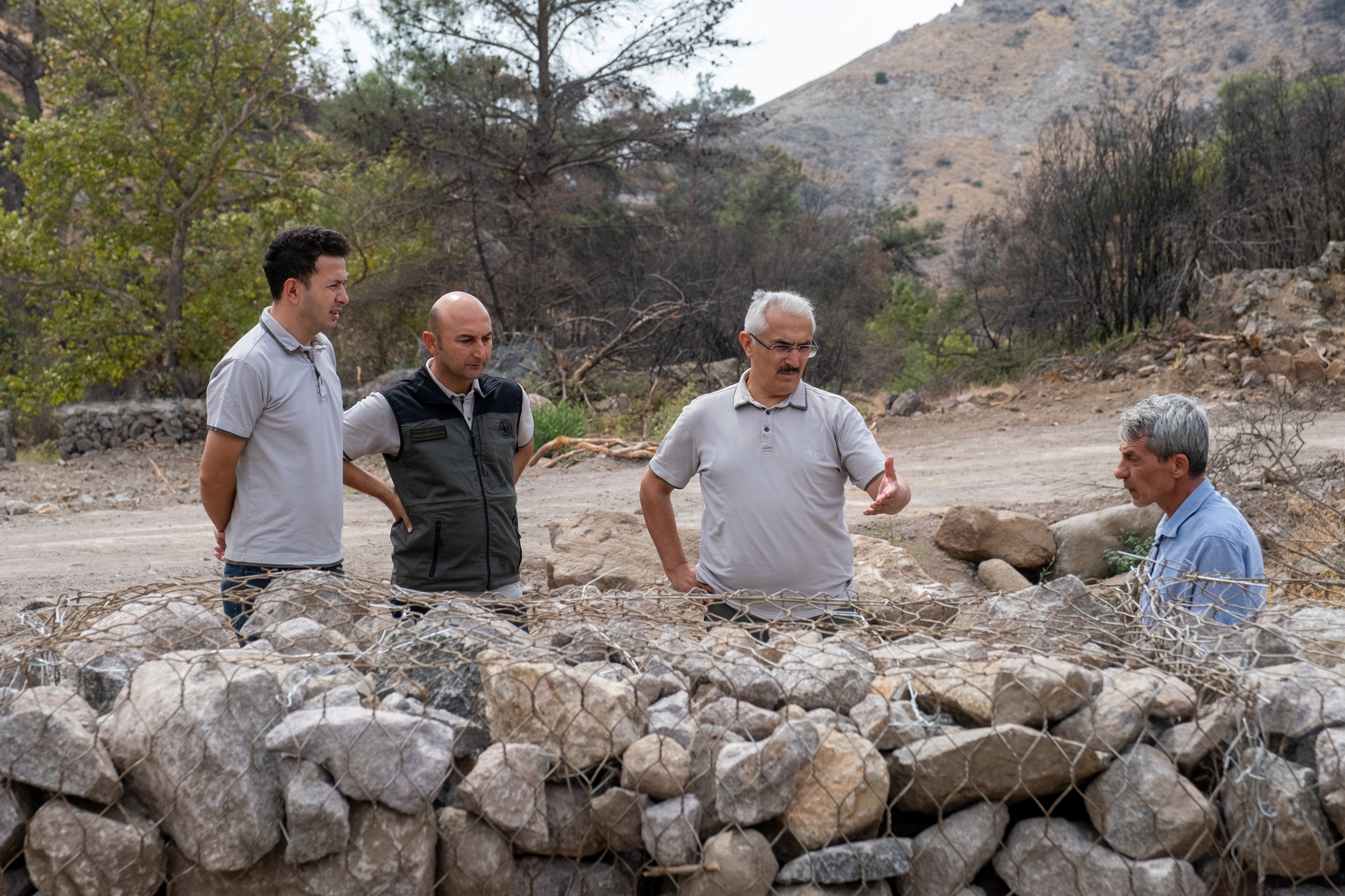 Karşıyaka Ağaç 2