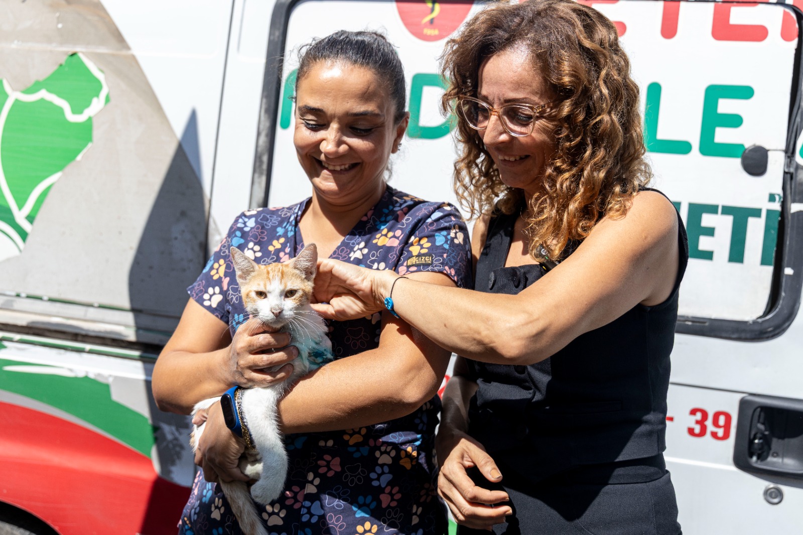 Karşıyaka Kedi Operasyonu