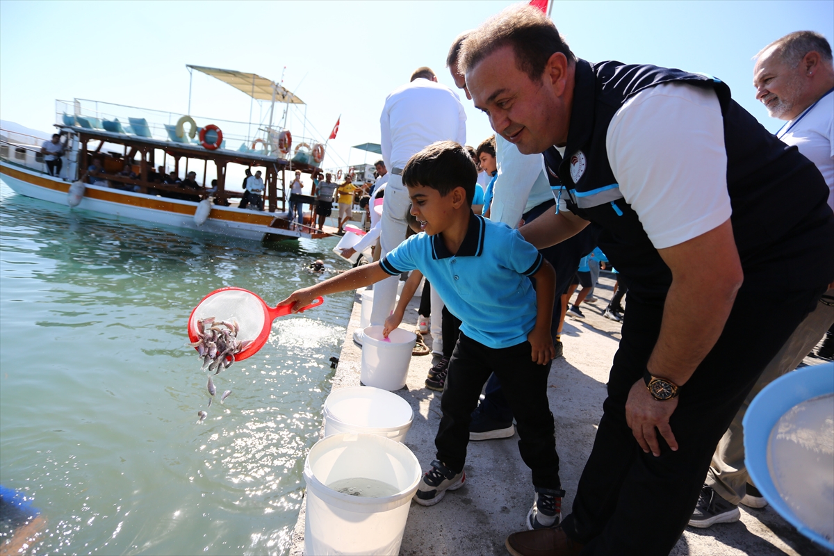 Muğla Denize Balıık
