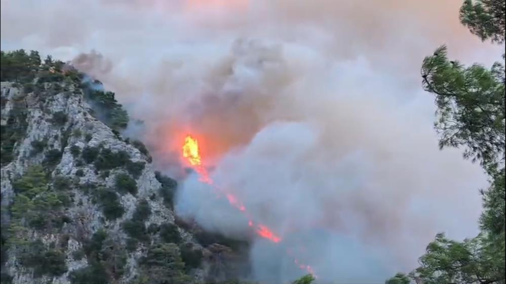 Muğla’da 3 Orman Yangınına Müdahale Sürüyor 2