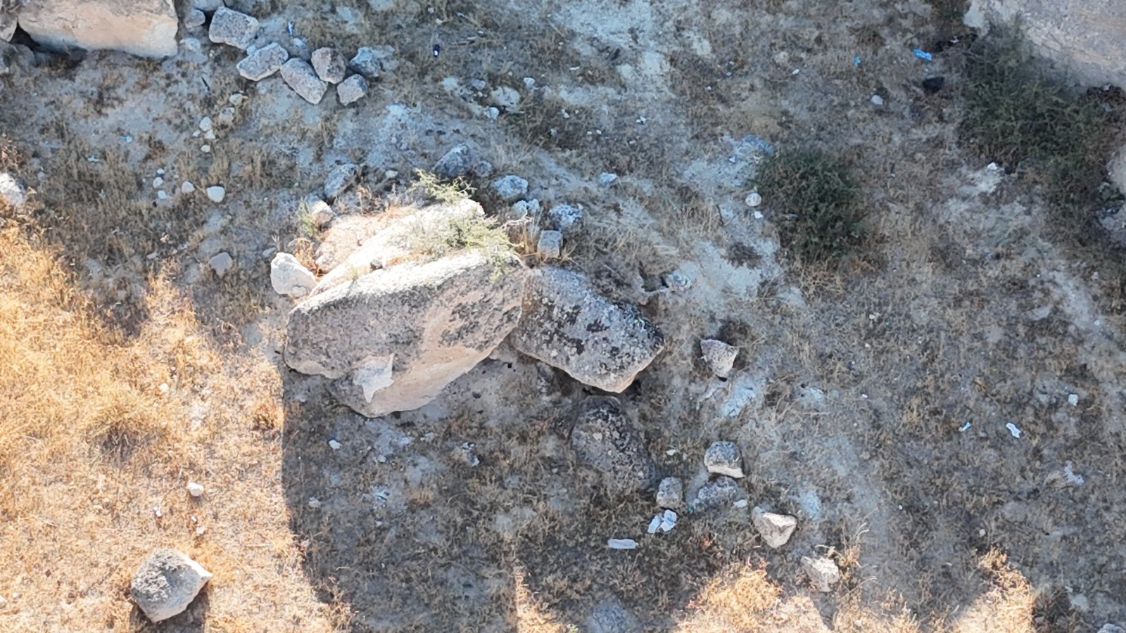 Arkadaşı gözaltına alındı, soruşturma sürüyor