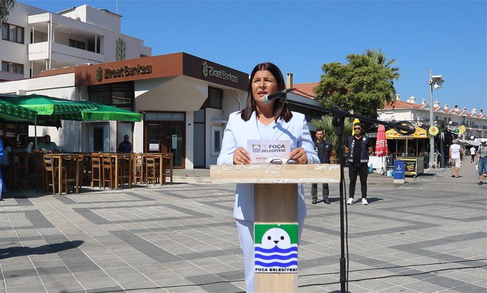 Sani̇ye Bora Fiçi-1