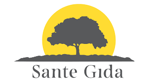 Sante Gıda 1