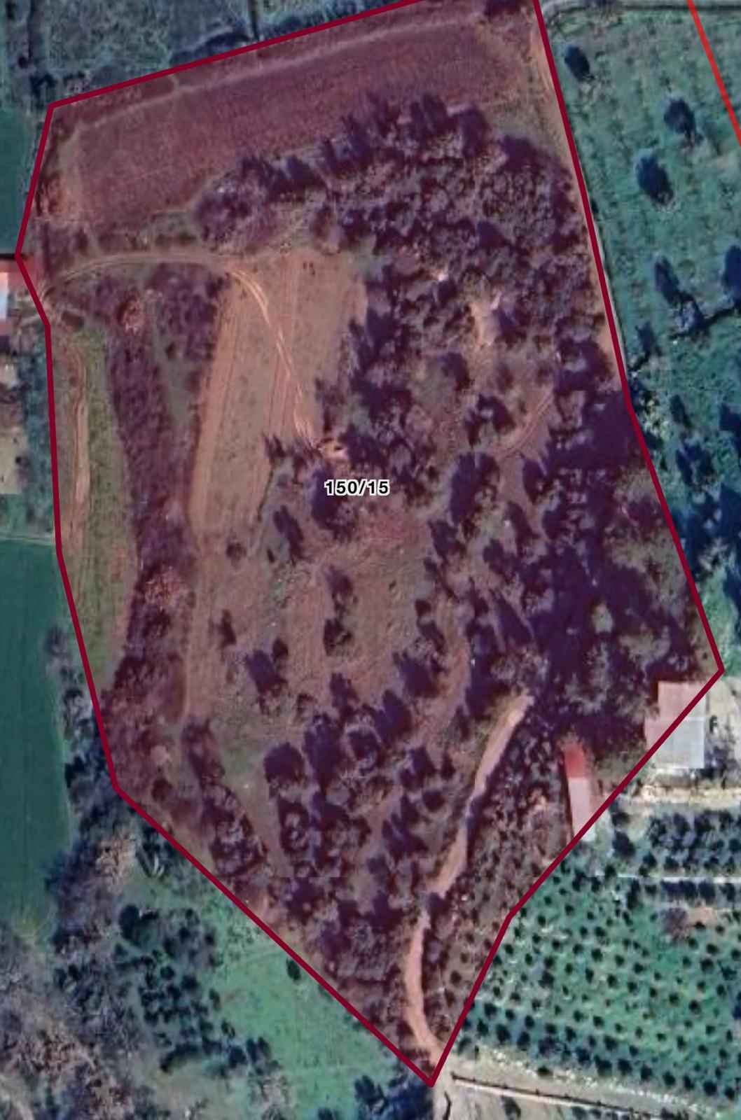 Satış Menderes (1)