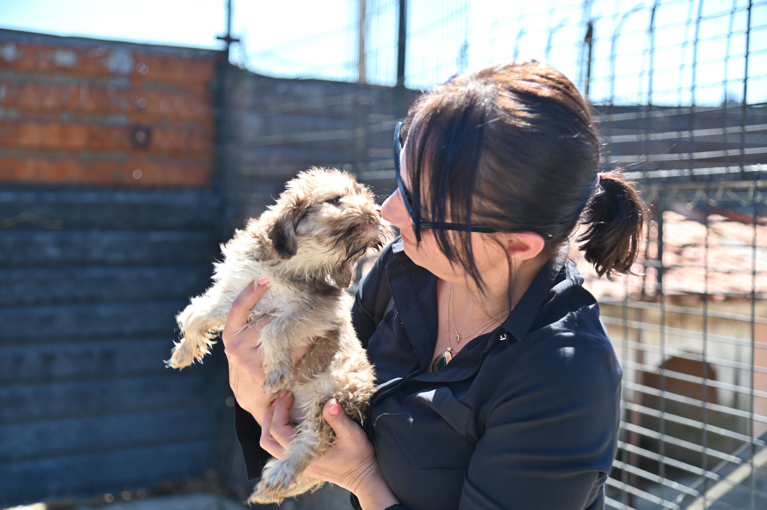 Sokak Hayvanları Komisyonu Kula’da Çalışmaları İnceledi (6)