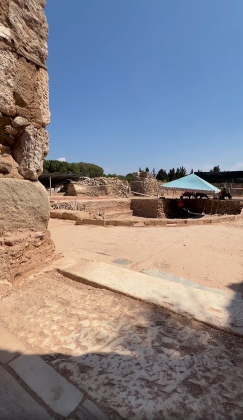 Tralleis’teki Natatio