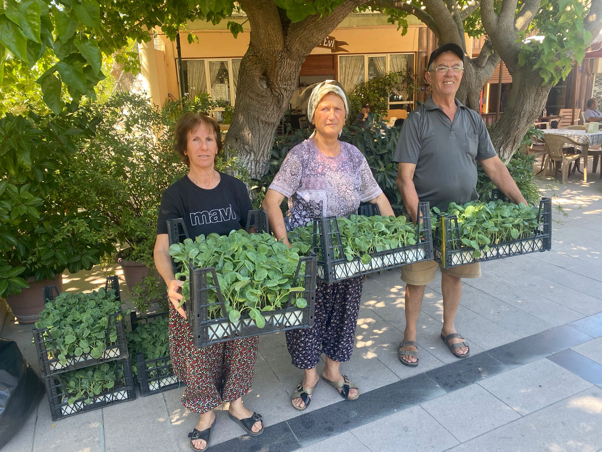 Urla Belediyesi’nden Üreticiye 50 Bin Adet Sebze Fidesi (1)