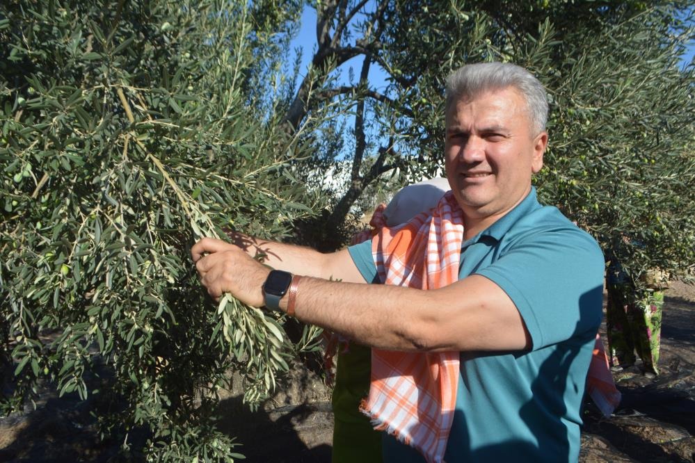 Zeytinyağında Ab Tescili