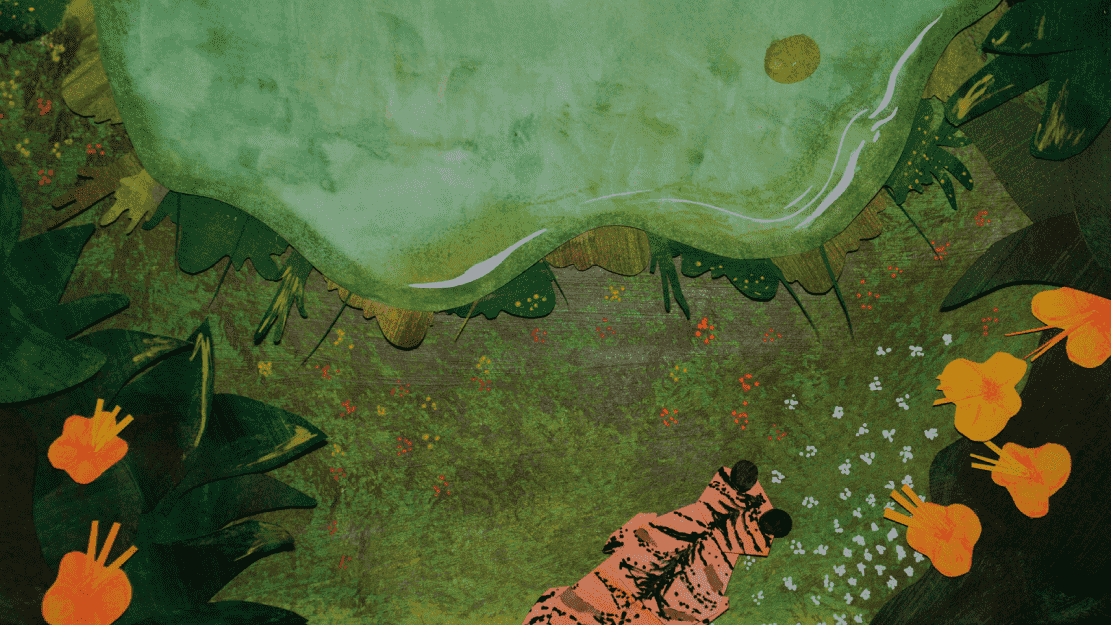 Animasyon Görseli 2 (1)