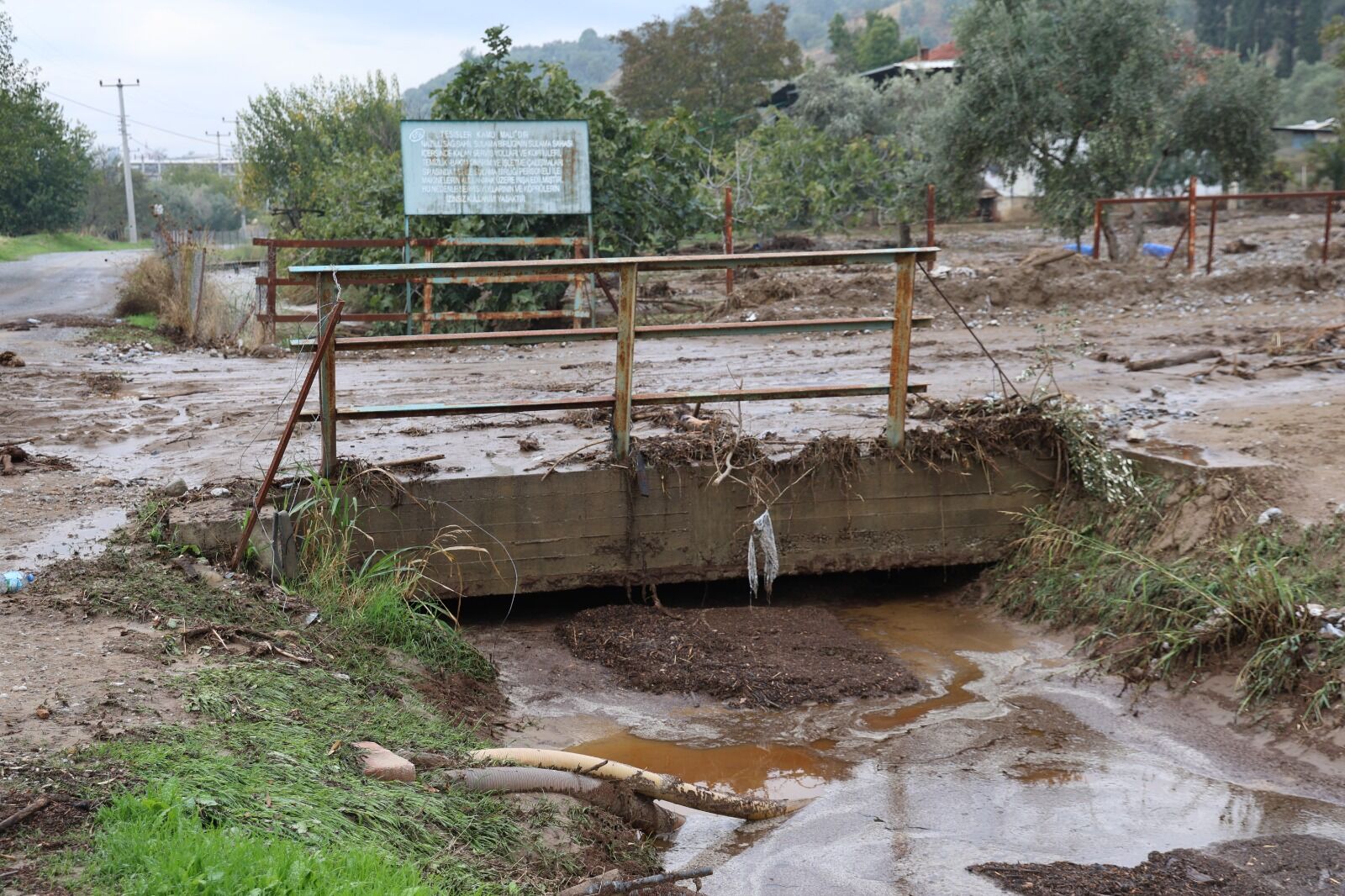 Yerel halktan şaşkınlık ve çaresizlik