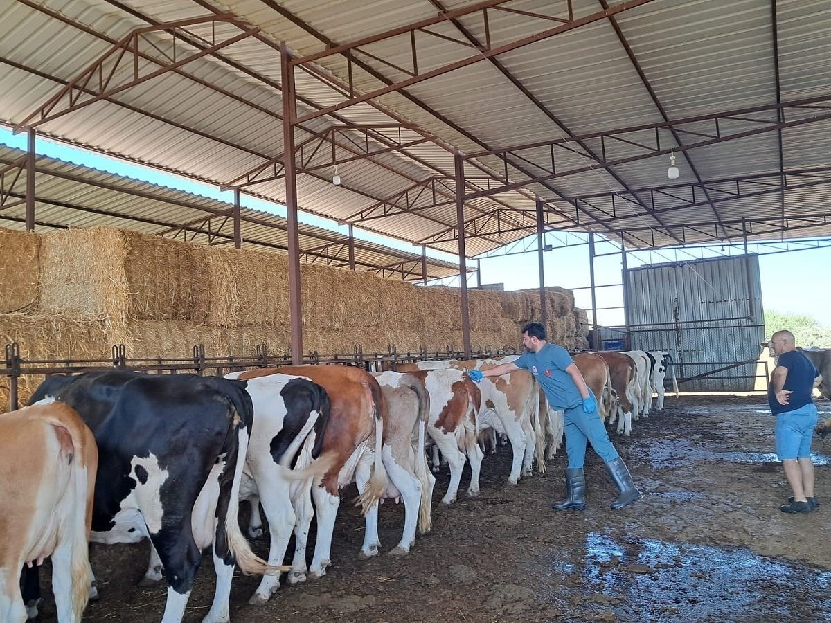 Resmi açıklama ve yasal uyarı