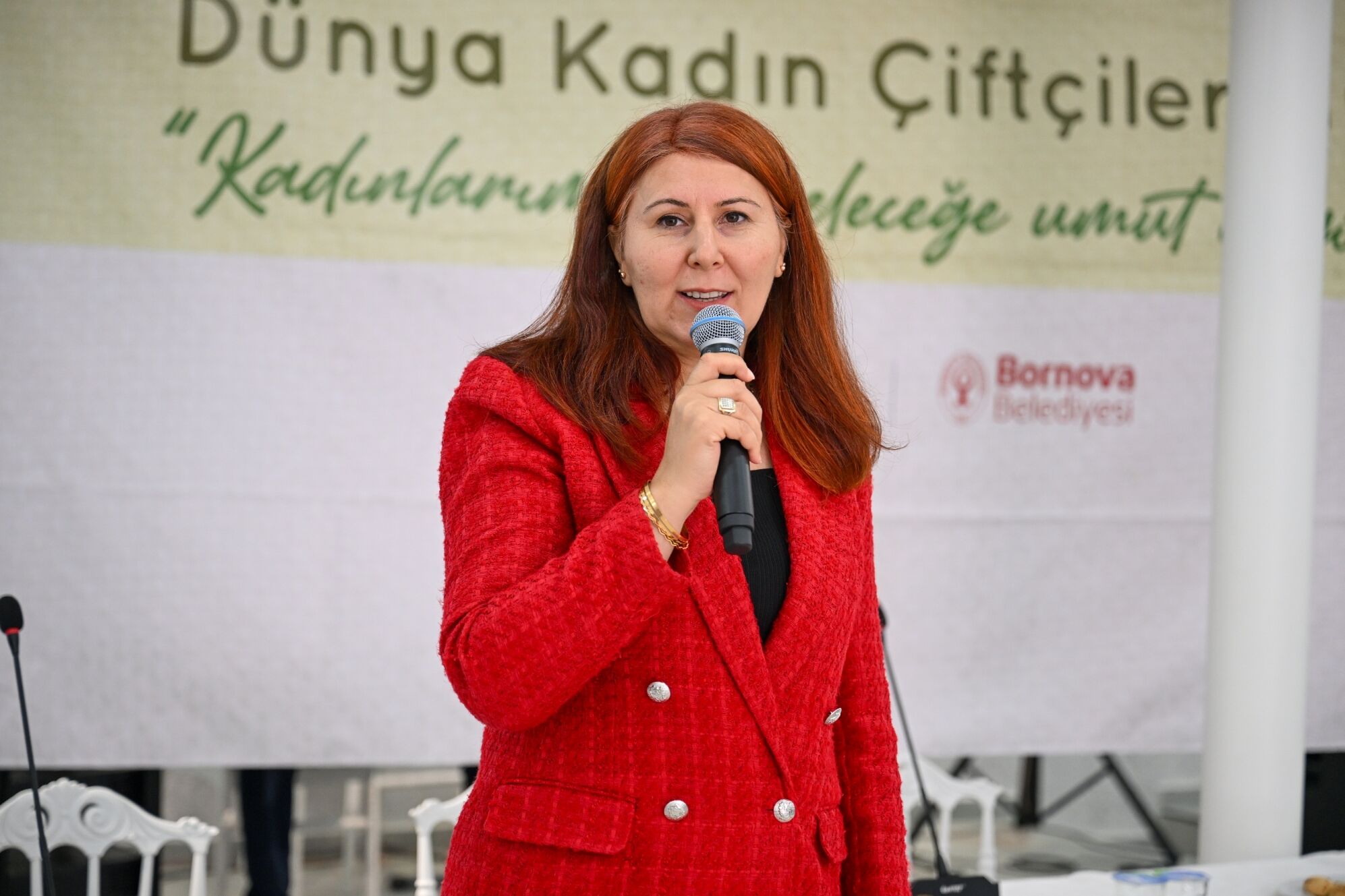 Bornova2-6