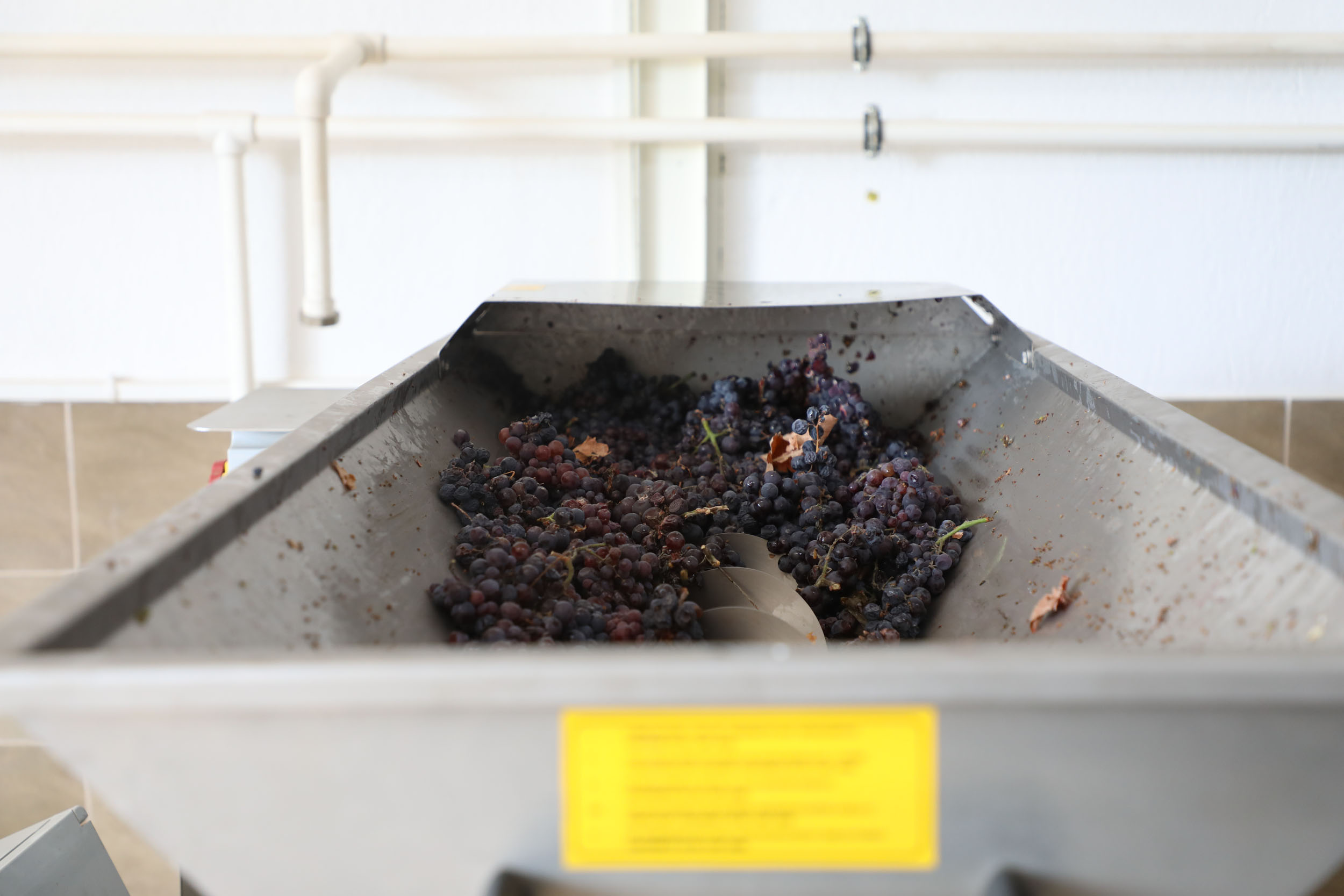 Büyükşehir’den Bağcılığa Modern Dokunuş (3)