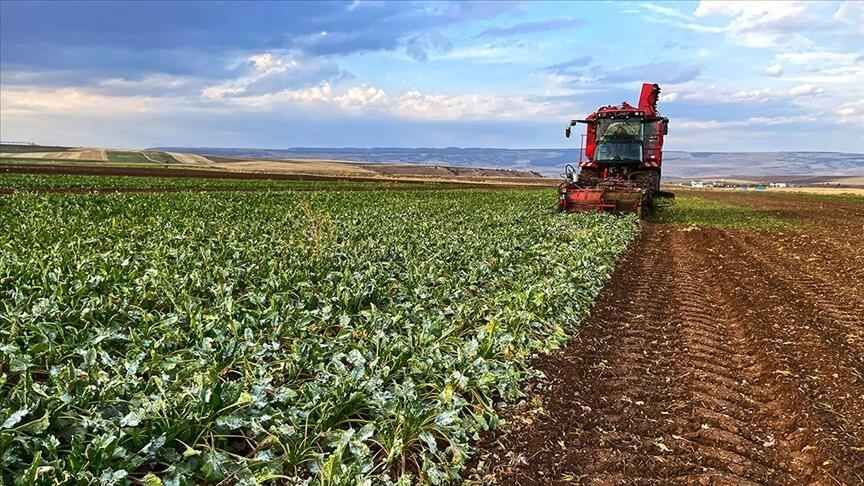 "Tarım politiakları marketleri koruyor, çiftçileri korumuyor"