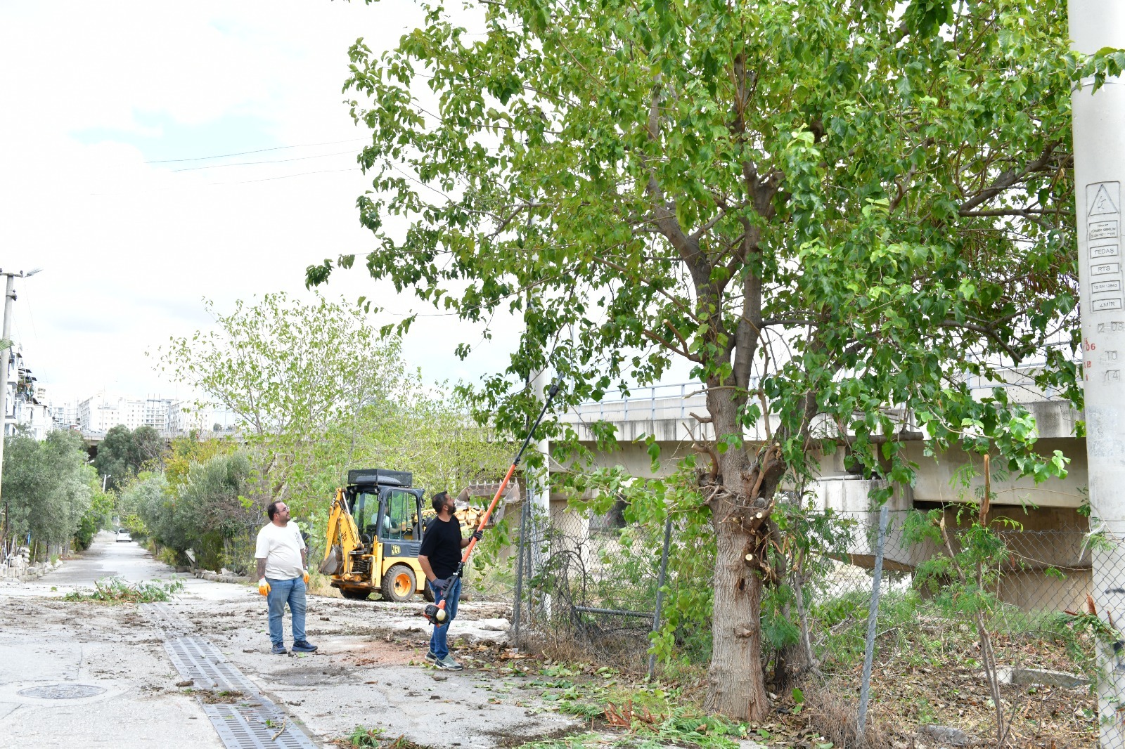 İlçe genelinde planlı programlar devam ediyor