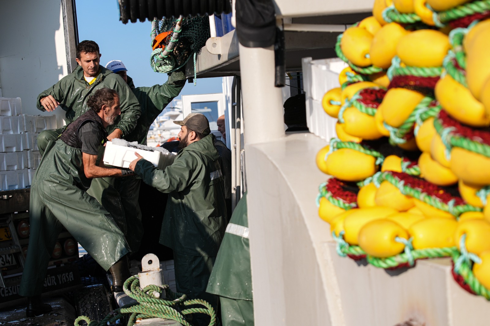 "Deniz bizi bekliyormuş, Her taraf sardalya oldu"