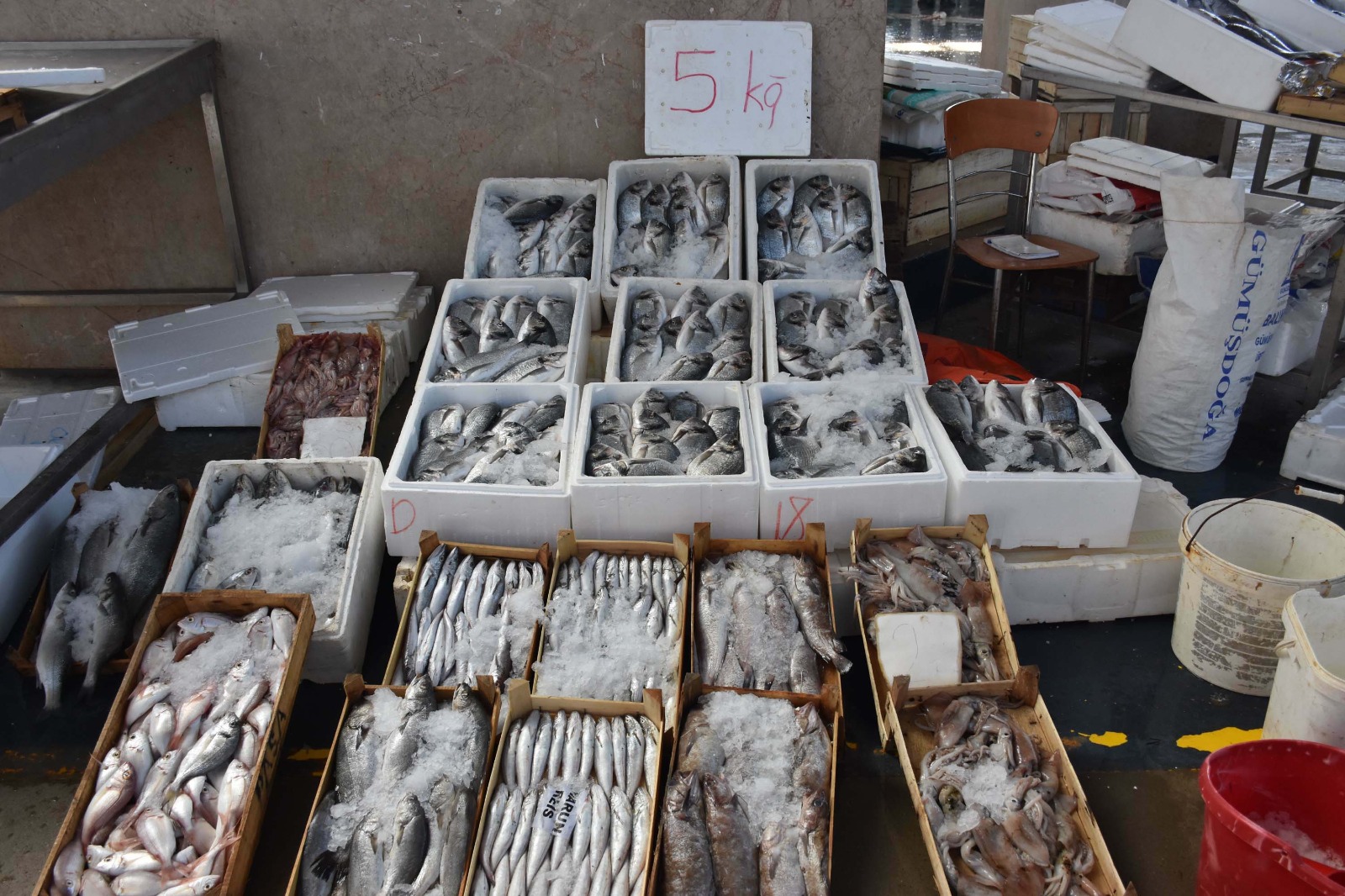 İzmir Balık Hali'nde hamsi mezadı ve fiyatlar