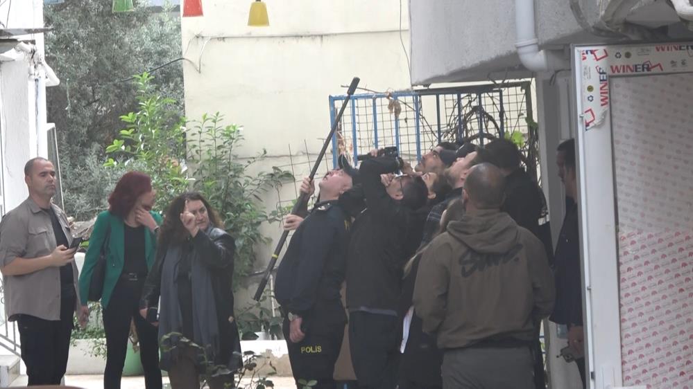 Güllü Bilirkişi Heyeti