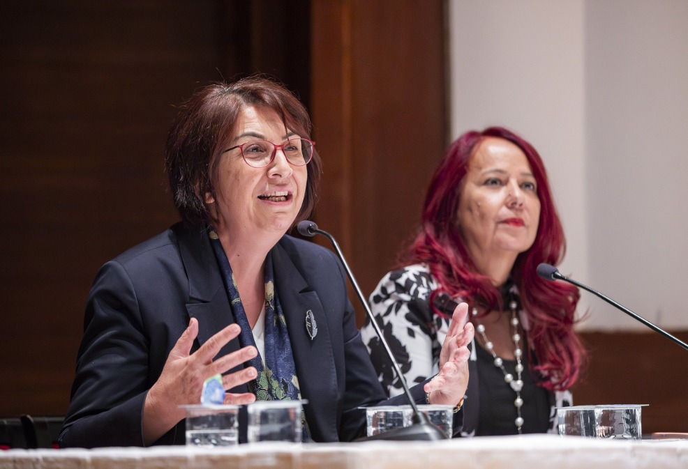 Program yoğunluğu ve demografik gerçekler