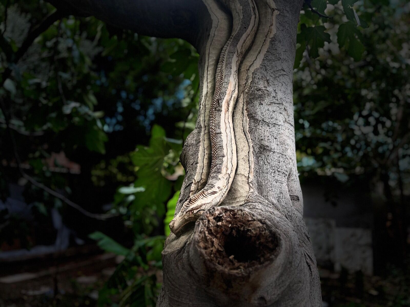 Emeklilerden sanata dönüş: Bir hobiden fazlası