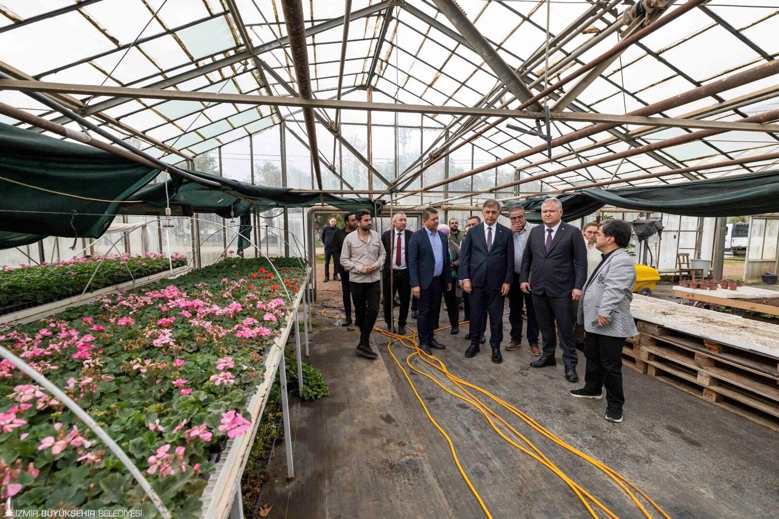 İzmir’de Zeytin Sezonu Başladı 2