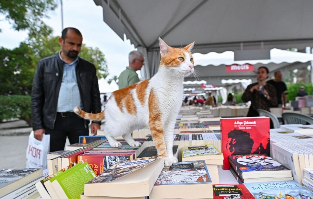 Kırsalda stratejik veri tabanı ve tasarım rehberi