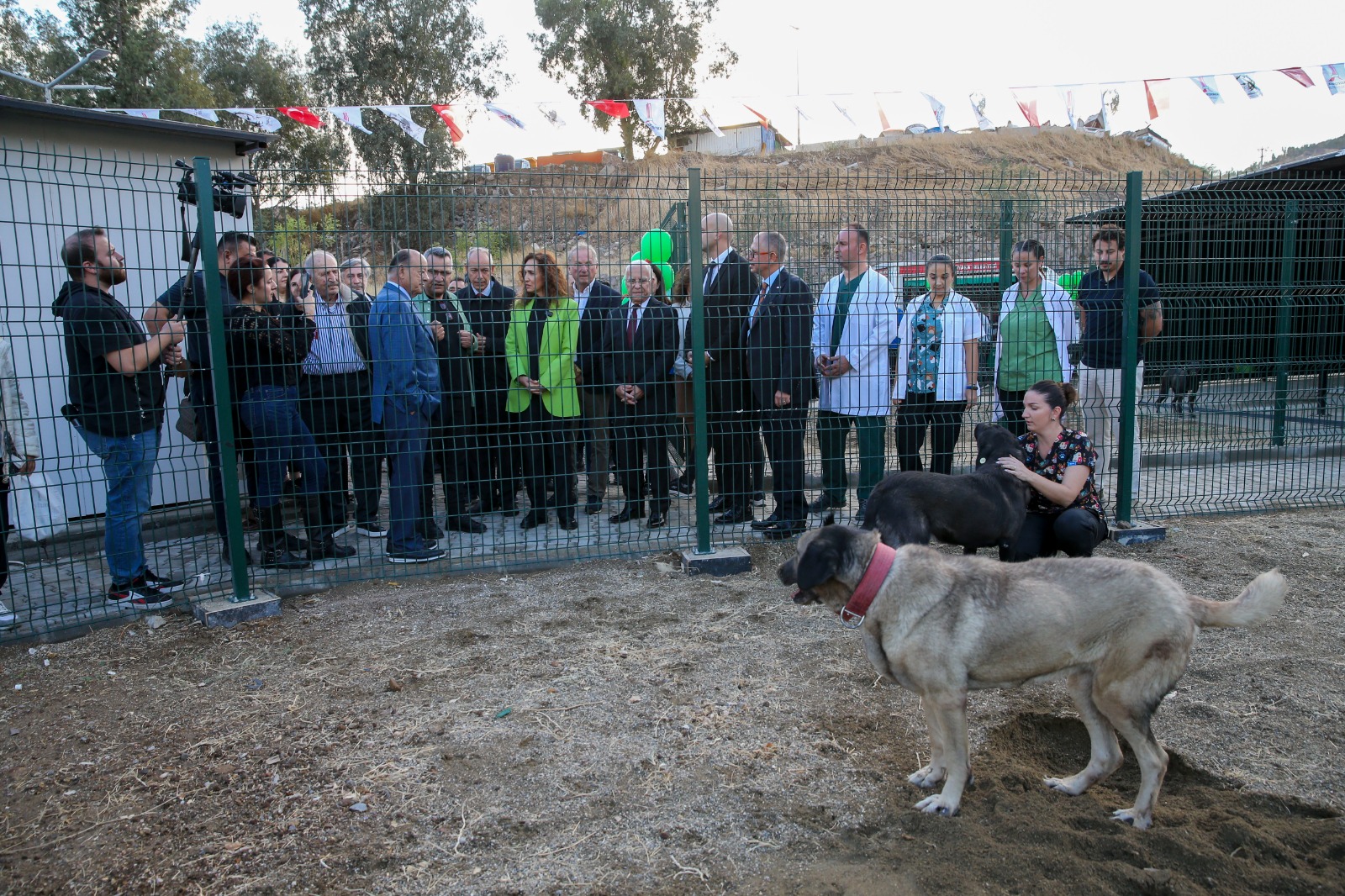 Karşıyaka Barınak-3