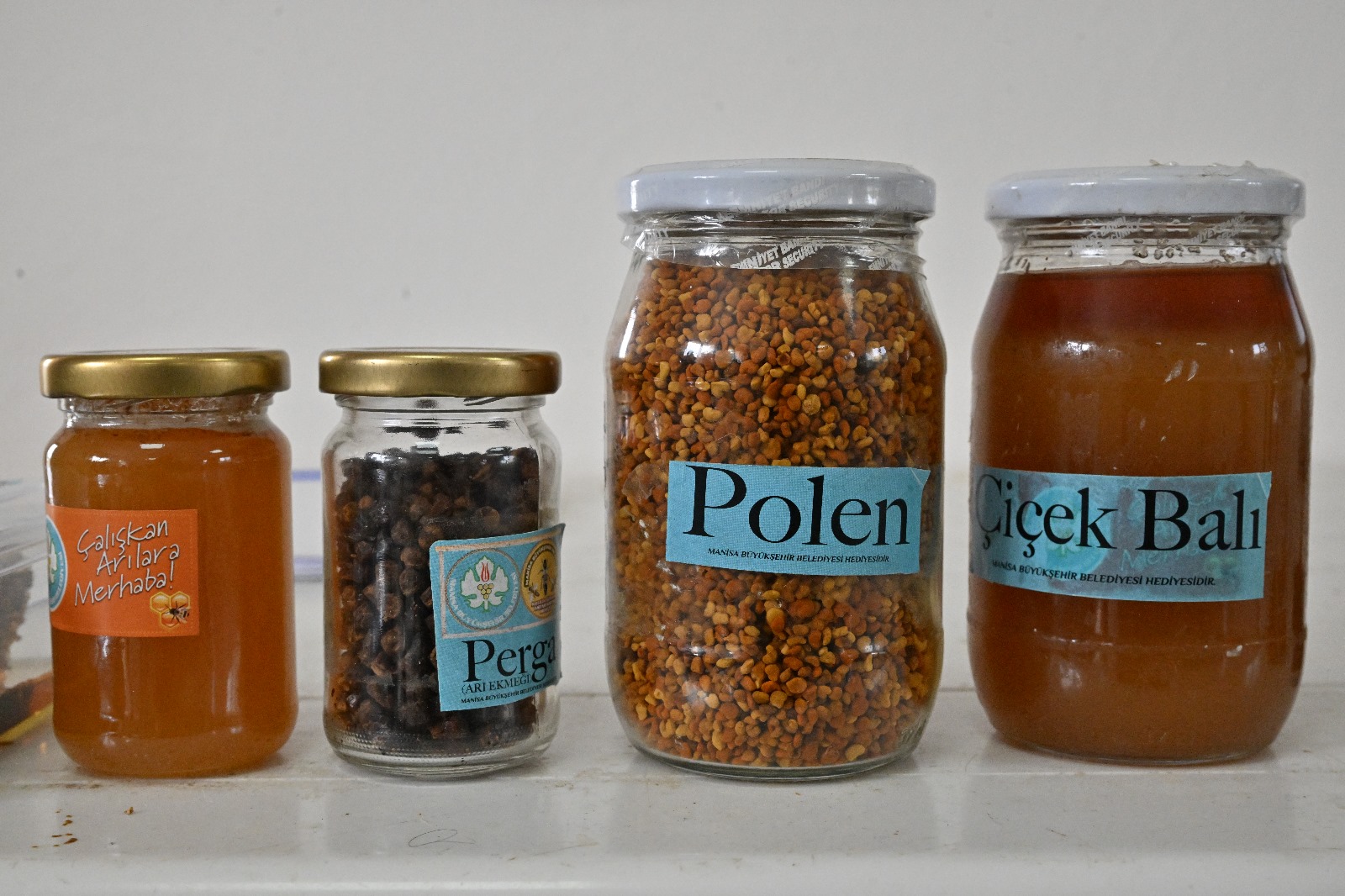 Manisalı Öğrenciler Arıların Önemini Öğreniyor (21)