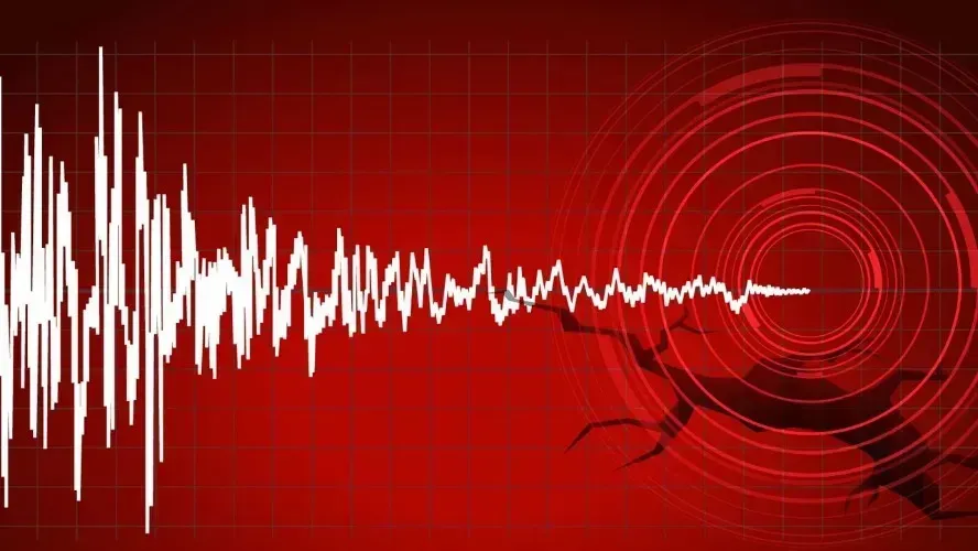 Büyüklük verilerinde kurumlar arası farklılık