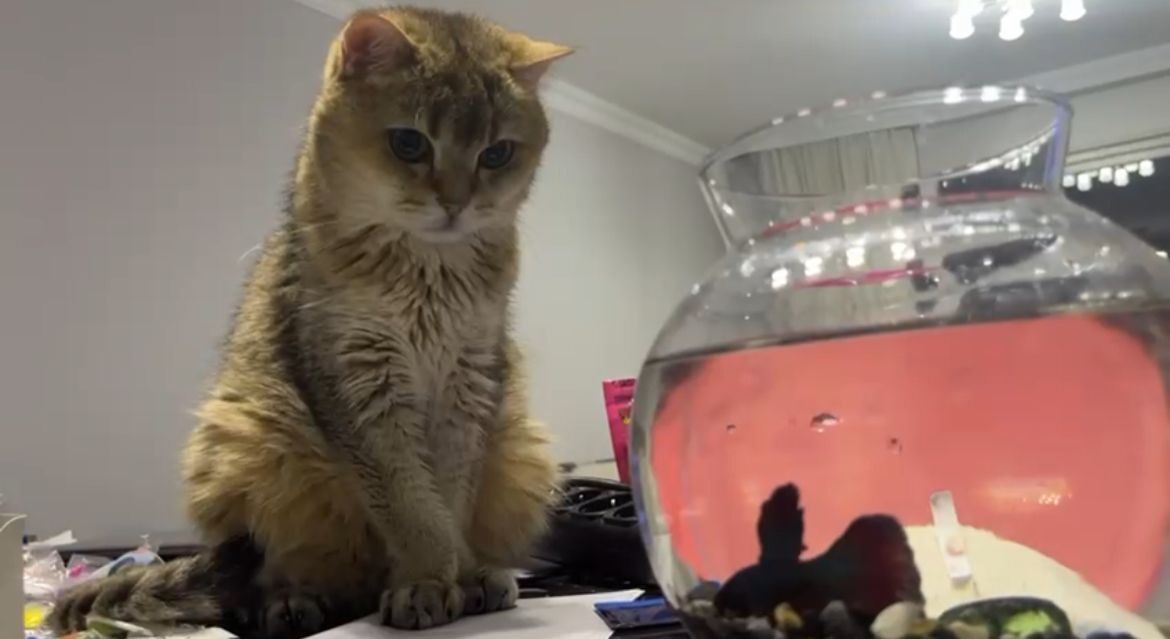 Tedavide antidepresan başlatıldı