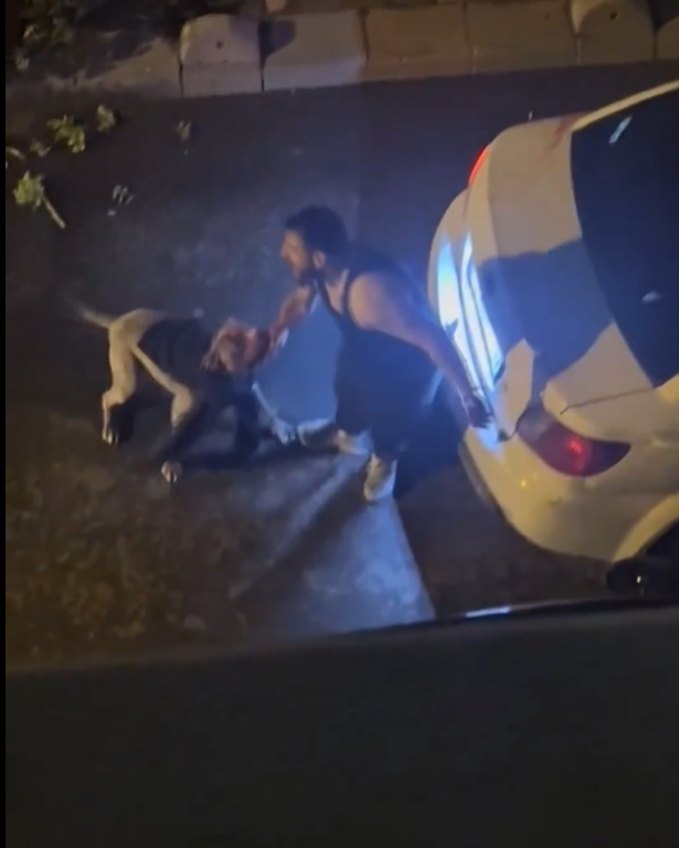 Ağır yaralı olarak hastaneye kaldırıldı