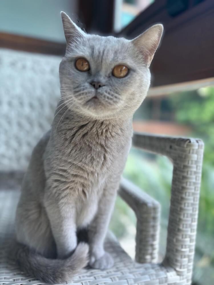 “İkinci evrede yakalandı, tedaviyle sağlığına kavuştu”