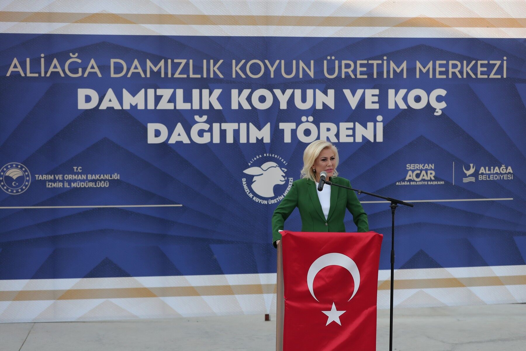 Şebnem Bursalı (1)