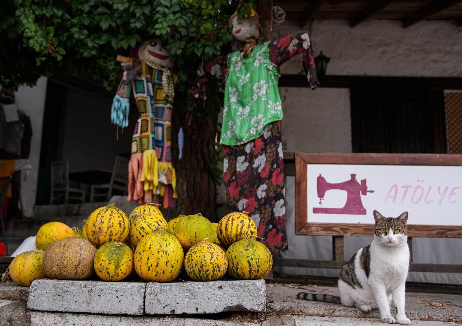 Turizm kökeni 1970'lere dayanıyor