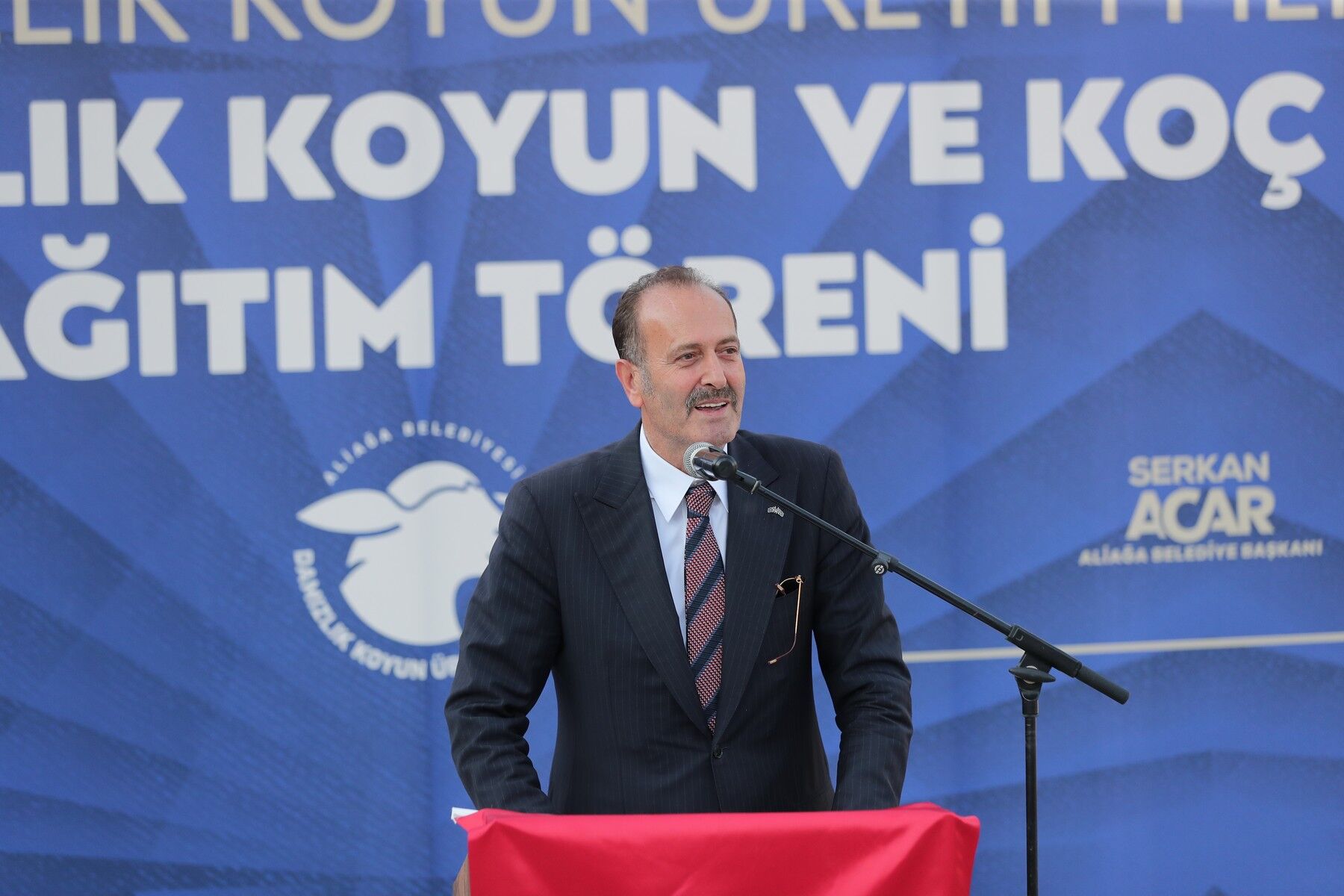 Tamer Osmanağaoğlu (1)